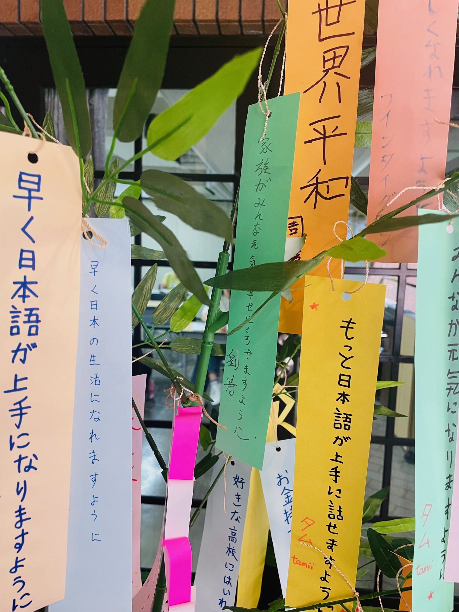 ７月７日は七夕！