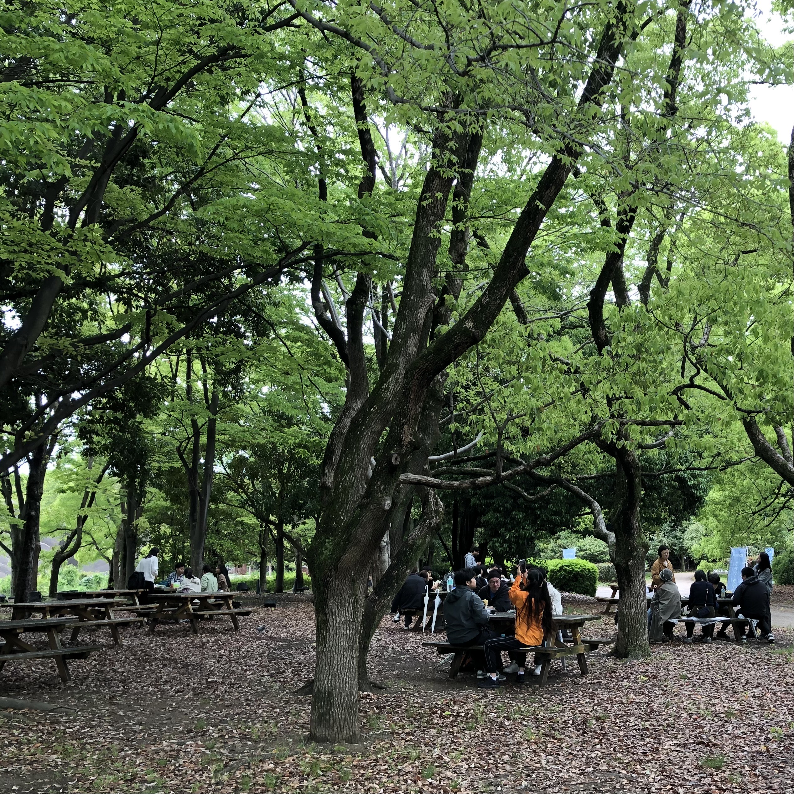 校外学習