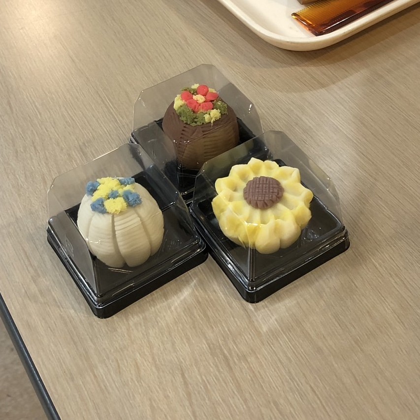 日本語夏期集中コース　和菓子作りと茶道体験
